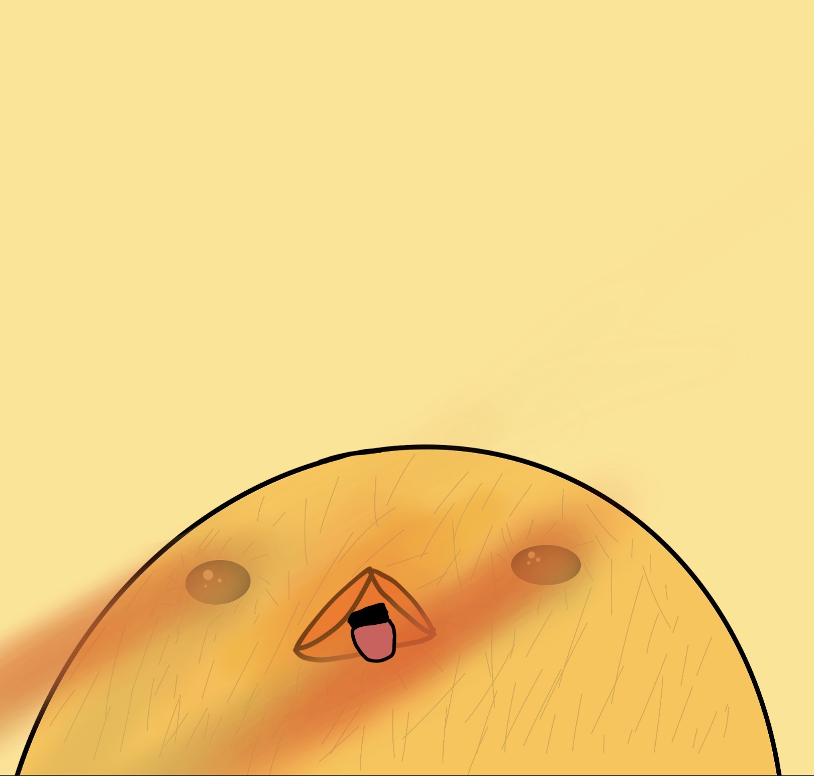 Peekaboo Chick