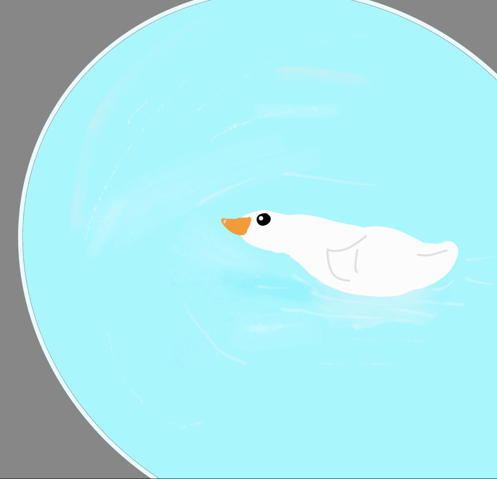 Pond Cruiser